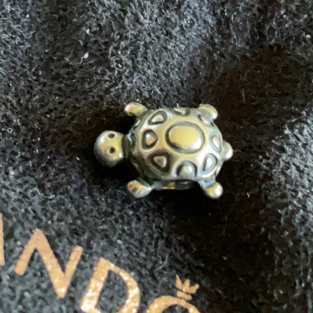 Pandora Turtle charm - Picture 1 of 2